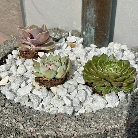 アパート Arnsberger Wald - Stilvoll Und Naturnah アルンスベルク