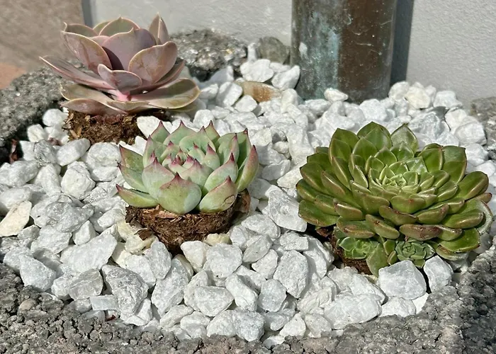 Appartamento Arnsberger Wald - Stilvoll Und Naturnah Arnsberg